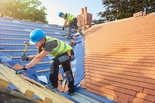 Best Roof Ventilation Installation  in Milaca, MN
